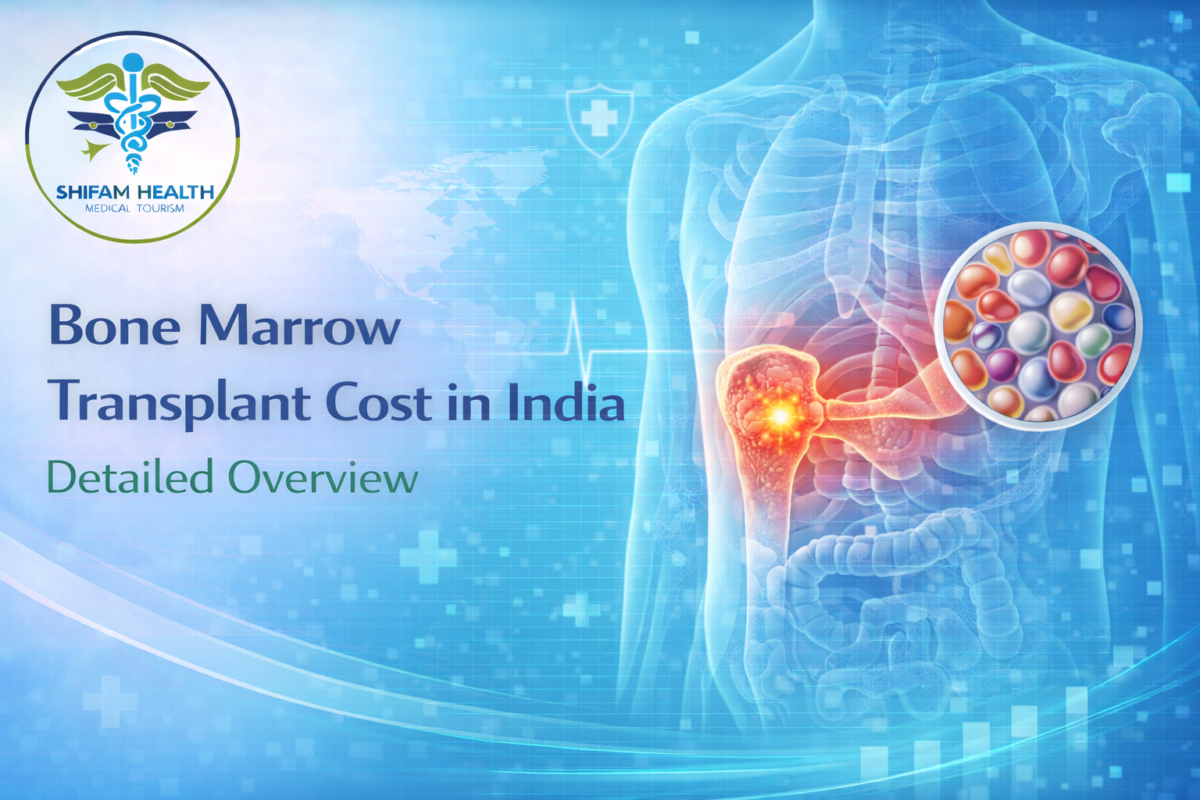 Medical illustration highlighting bone marrow inside hip bone for bone marrow transplant cost in India guide.